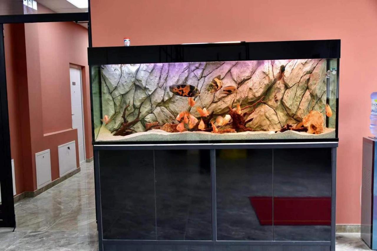 Asuka Apartmani 飞鸟客 Surčin Kültér fotó