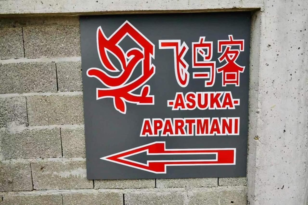 Asuka Apartmani 飞鸟客 Surčin Kültér fotó